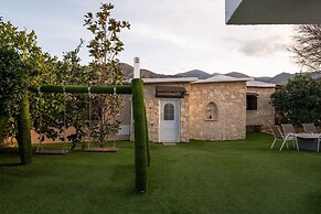 Treasure Of Herbs Complex