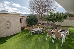 Treasure Of Herbs Complex