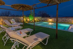 Treasure Of Herbs Complex