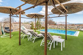 Treasure Of Herbs Complex