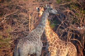 Langani Safari