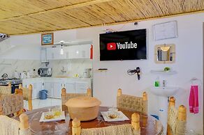 Dinosaur anza surf house