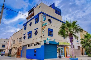 Dinosaur anza surf house