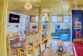 Dinosaur anza surf house