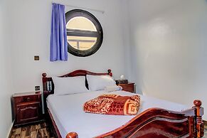 Dinosaur anza surf house