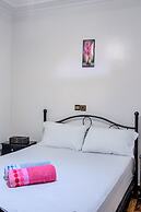 Dinosaur anza surf house