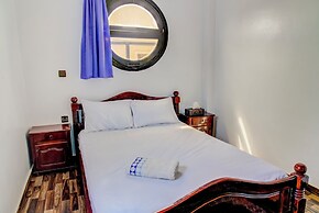 Dinosaur anza surf house