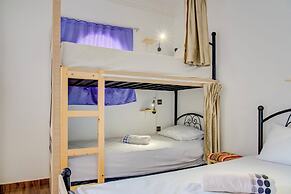 Dinosaur anza surf house