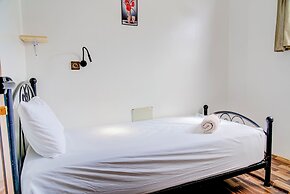 Dinosaur anza surf house