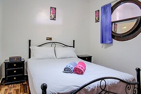 Dinosaur anza surf house