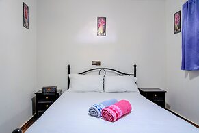 Dinosaur anza surf house