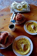 Dinosaur anza surf house