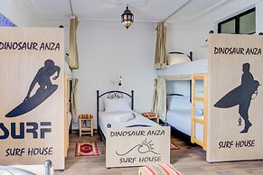 Dinosaur anza surf house