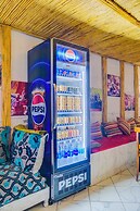 Dinosaur anza surf house