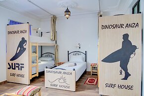 Dinosaur anza surf house