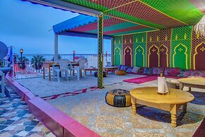 Dinosaur anza surf house