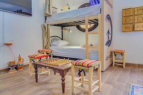 Dinosaur anza surf house