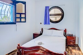 Dinosaur anza surf house