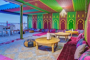 Dinosaur anza surf house