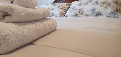 Room in B&B - Comfortable Room With Spacious Kitchen - Suite Colosseo