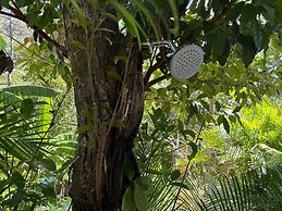 Amaj Eco Lodge