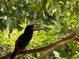Amaj Eco Lodge