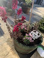 Beautiful Fir Grove Apartment Begelly