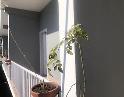 Outdoor Adventures Resort