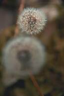 Domos Andinos HostCamp