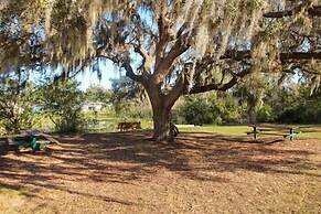 Family Dream 5 Bedroom Home by RedAwning