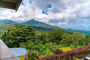 Roxy's Mountain Lodge