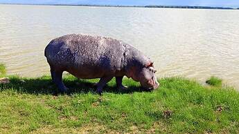 Amanya 2 Rooms Girraffe Family Tent