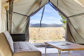 Safari Glamping