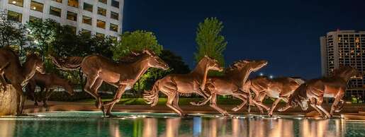 Hotel Indigo Irving Las Colinas by IHG