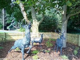 Lovely 2-bedroom Lodge set in Beautiful Norfolk