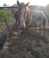 Beautiful Idilic Stay at The Box