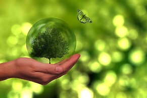 Sono Calm Vivaldi Park