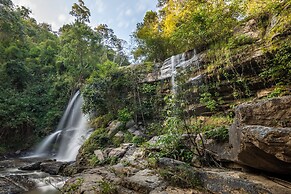 CAMP CAYLA - STELLAR