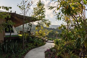 CAMP CAYLA - STELLAR