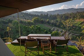 CAMP CAYLA - STELLAR