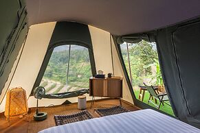 CAMP CAYLA - STELLAR