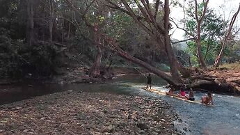 CAMP CAYLA - STELLAR