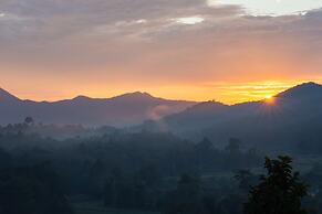 CAMP CAYLA - STELLAR