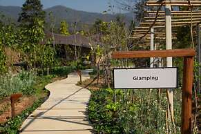 CAMP CAYLA - STELLAR