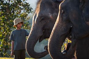 CAMP CAYLA - STELLAR