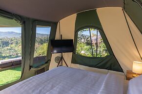 CAMP CAYLA - STELLAR