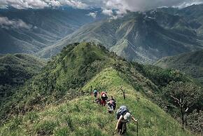 CAMP CAYLA - STELLAR