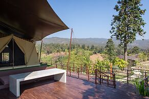 CAMP CAYLA - STELLAR