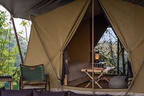 CAMP CAYLA - STELLAR