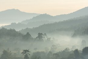 CAMP CAYLA - STELLAR